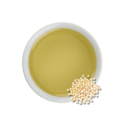 Sójový olej GMO free RAF 1L