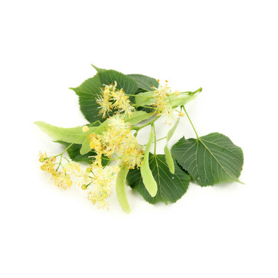 Lípa - antialergický - parfémová kompozice 10ml