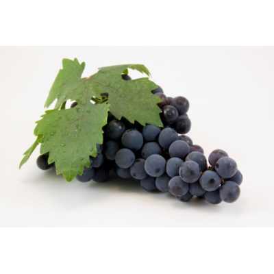 Černý hrozen - parfémová kompozice 30ml