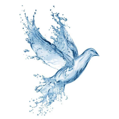 Typ DOVE - parfémová kompozice 35ml