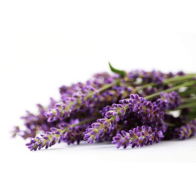 Levandulová silice 10ml