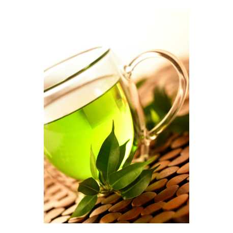 Extrakt ze zeleného čaje 12ml
