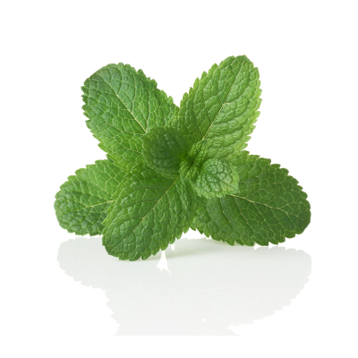 Peprnomátová silice 10 ml