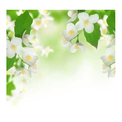 Sada parfémových kompozic KVĚTINOVÁ I. - 3x10ml 