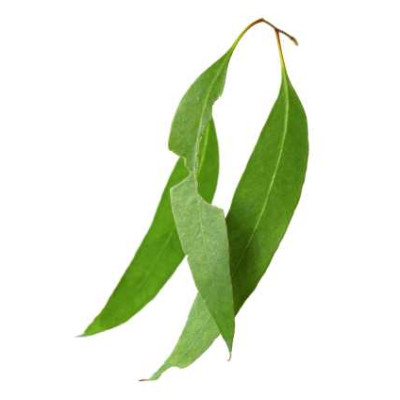 Sada parfémových kompozic KVĚTINOVÁ I. - 3x10ml 