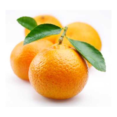 Sada parfémových kompozic KVĚTINOVÁ I. - 3x10ml 