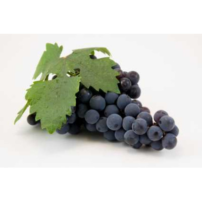 Sada parfémových kompozic KVĚTINOVÁ I. - 3x10ml 