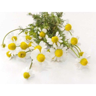 Sada parfémových kompozic KVĚTINOVÁ I. - 3x10ml 