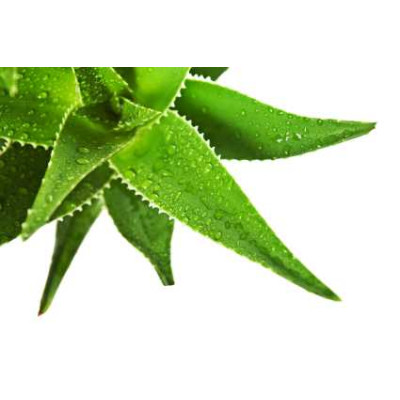 Sada parfémových kompozic KVĚTINOVÁ I. - 3x10ml 