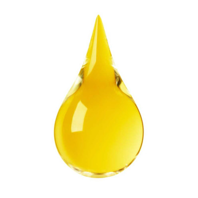 Konzervační látka COSGARD (Bioscontrol Synergy BAS) 100ml